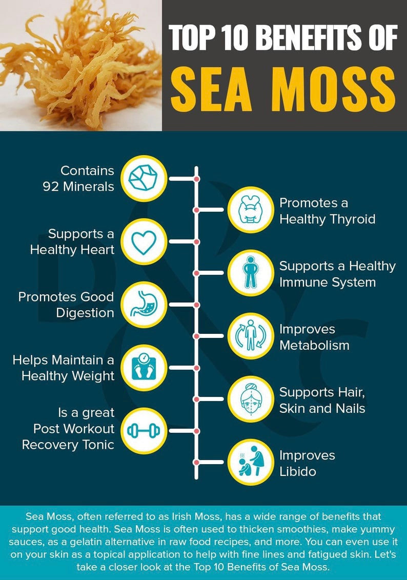 1 Pound - Organic Wildcrafted SEA MOSS ***SHIPS WITHIN 48 HRS!